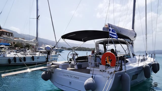 LUPO DI MARE