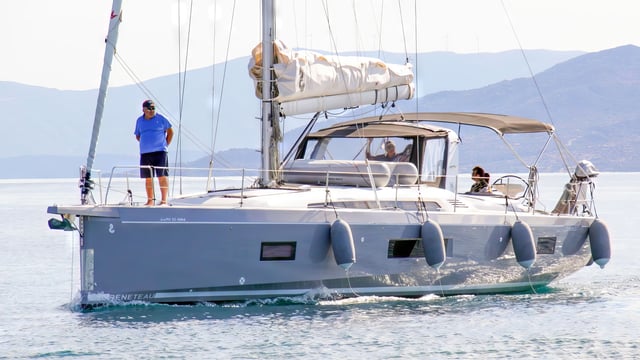 LUPO DI MARE
