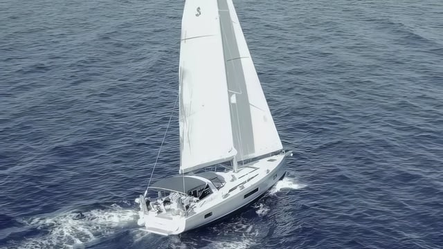 LUPO DI MARE