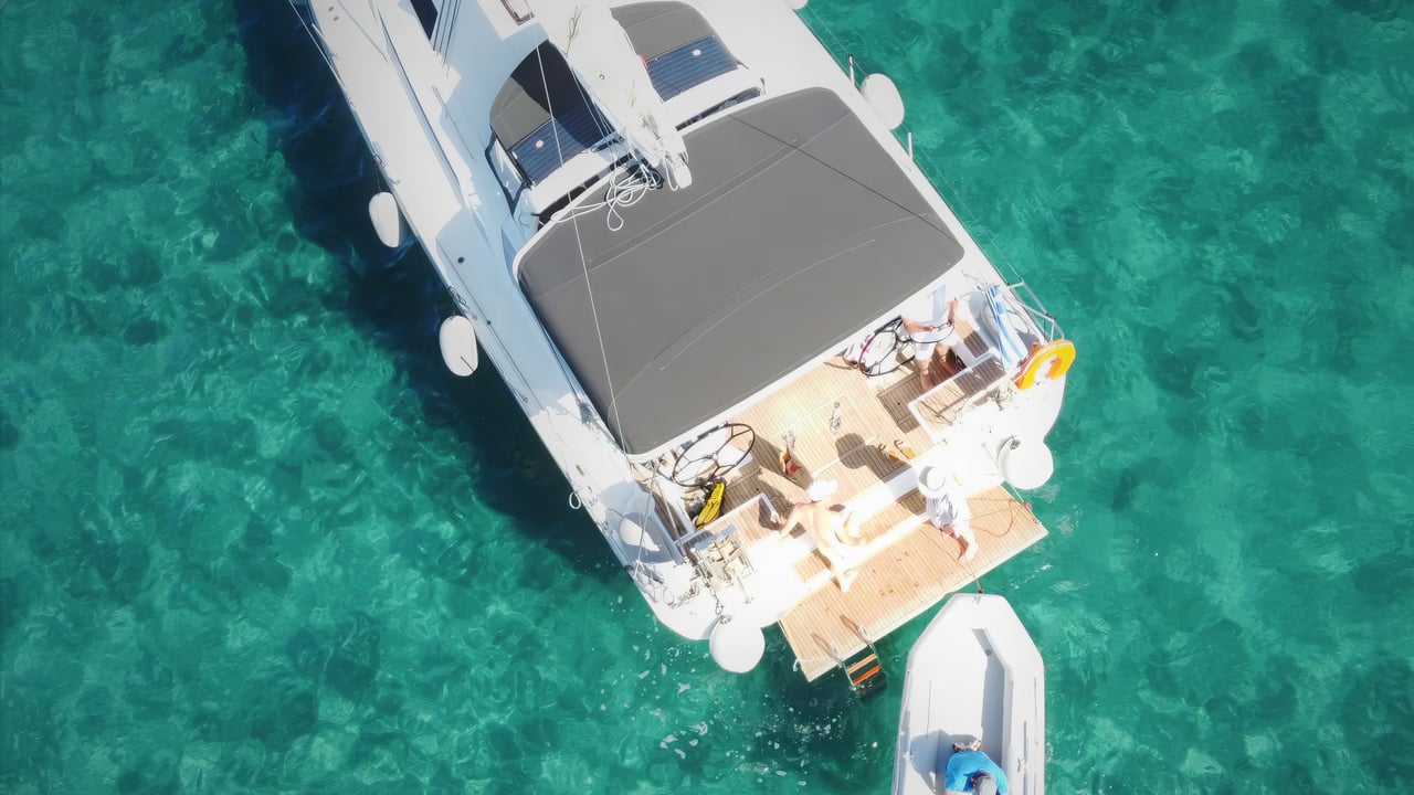 LUPO DI MARE