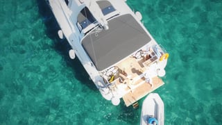 LUPO DI MARE