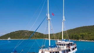 MENDULA