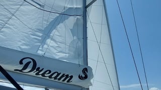 DREAM