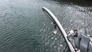 AQUILA 36