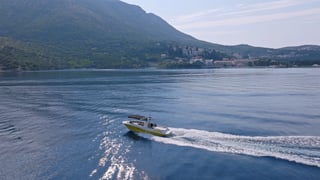 MERCAN 34