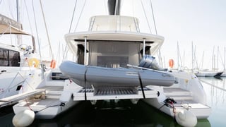PELAGIC CAT