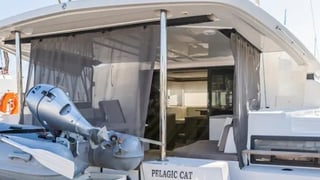 PELAGIC CAT