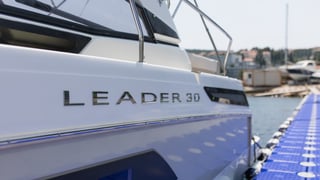 LEADER 30