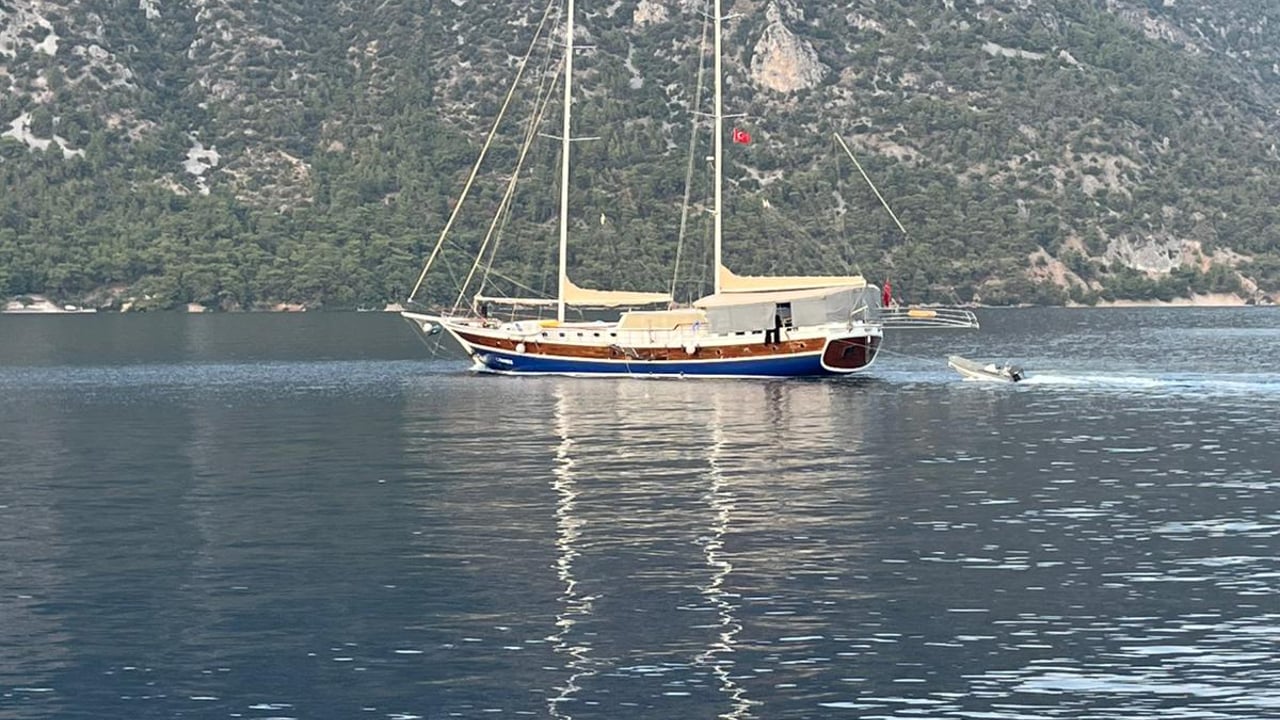 C. TANER 2