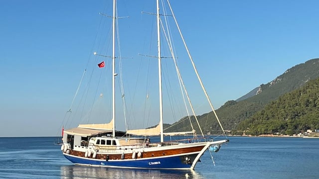 C. TANER 2