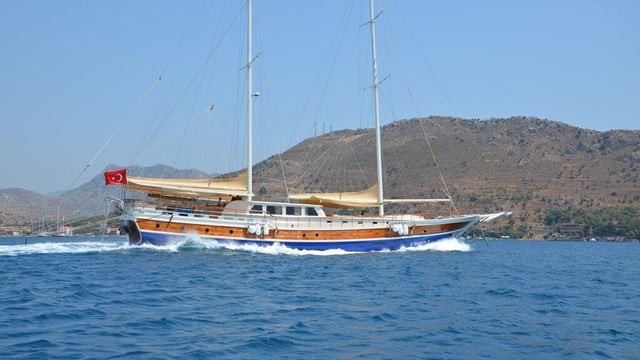 C. TANER 2