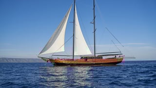 STELLA MARIS