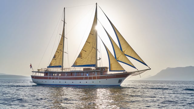 TAJNA MORA