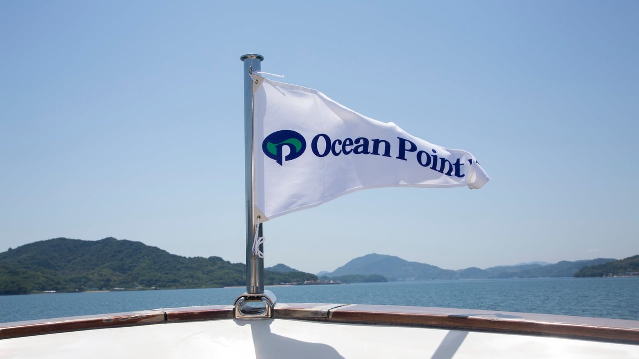 OCEAN POINT VII