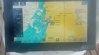 SILLY SHARK GND
