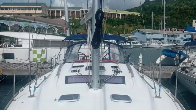 SILLY SHARK GND