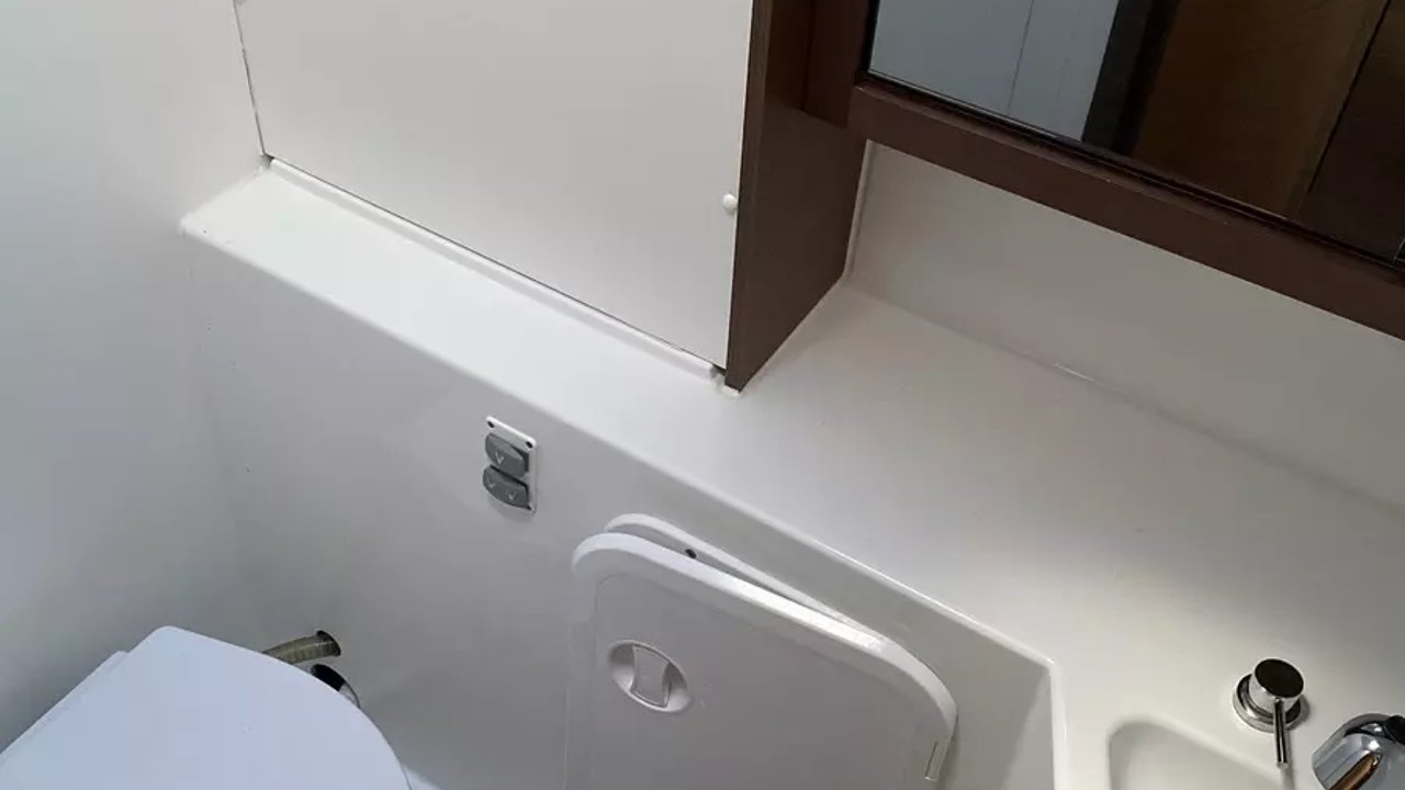 FELIS