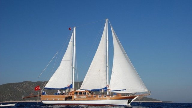 CEMRE JUNIOR