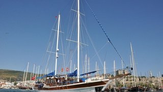 CEMRE JUNIOR