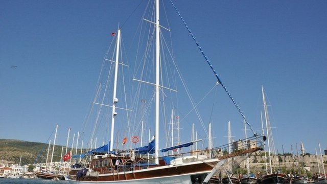 CEMRE JUNIOR