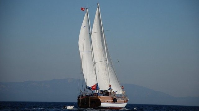 CEMRE JUNIOR