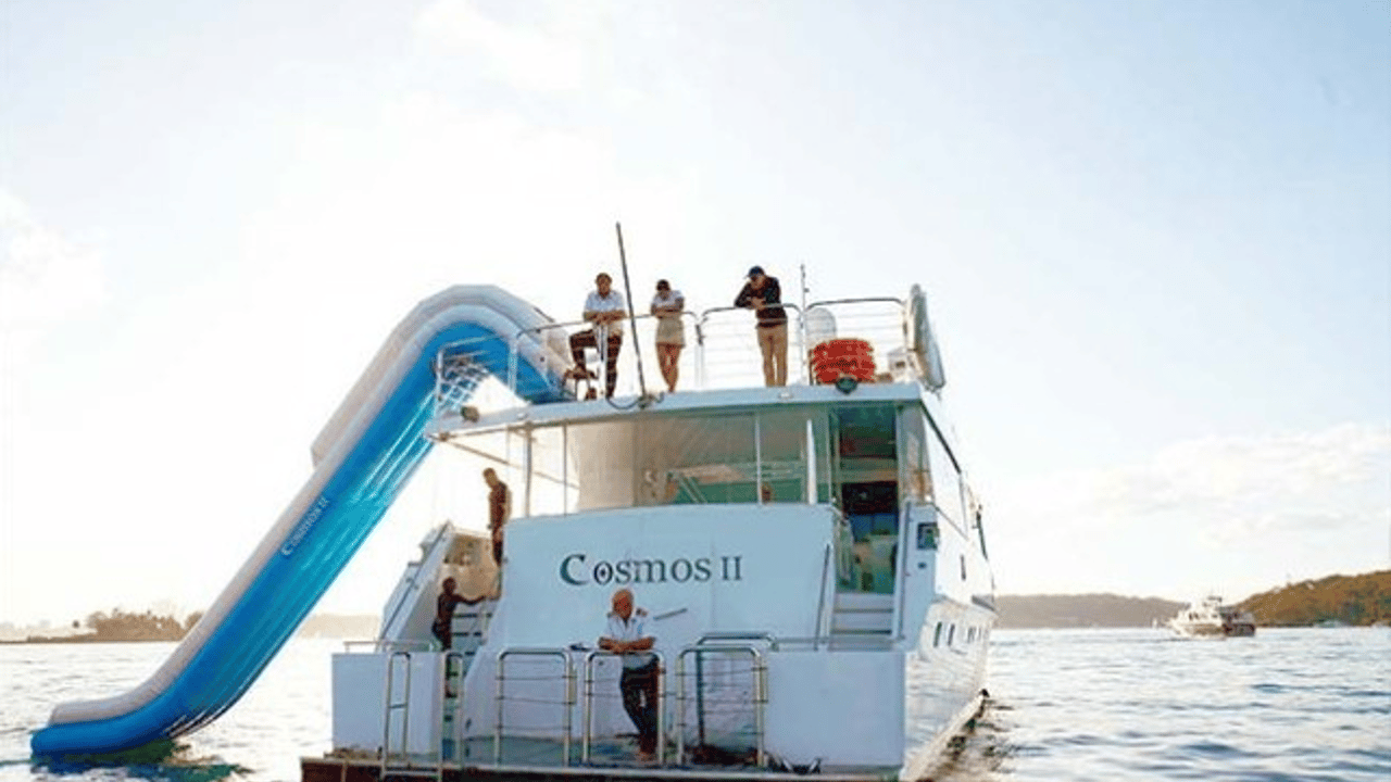 COSMOS II