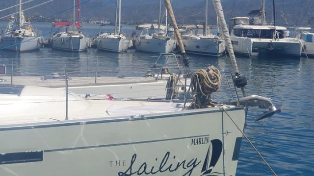 MARLIN