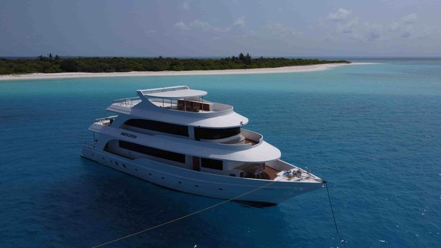 N7 YACHT