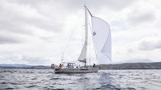 HELSAL IV