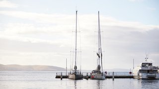 HELSAL IV