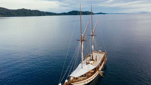 SENJA