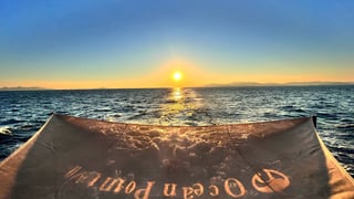 OCEAN POINT VII