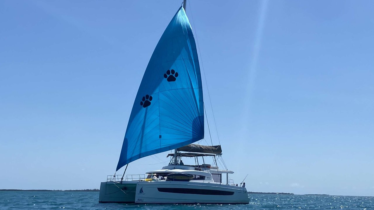 NAUTI DOGS 5.4