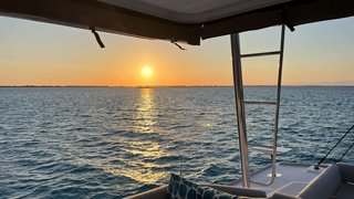 NAUTI DOGS 5.4