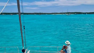 NAUTI DOGS 5.4