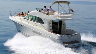 PRESTIGE 36