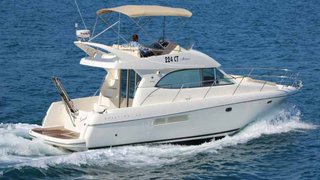 PRESTIGE 36