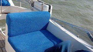 MAJESTY 44