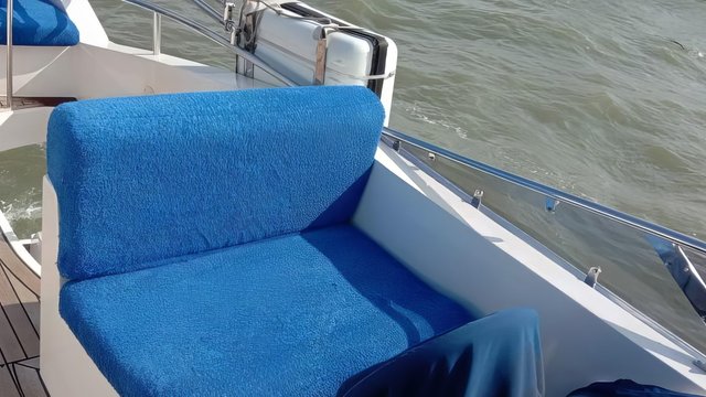 MAJESTY 44