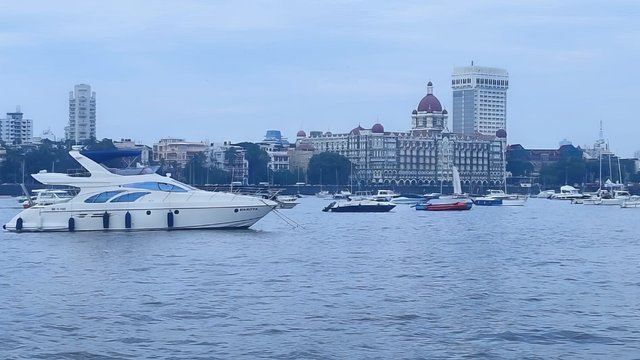 MAJESTY 44