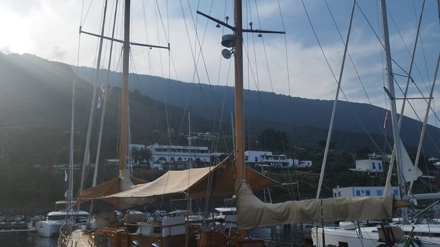 PAULENA